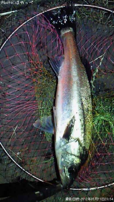 �����Х�