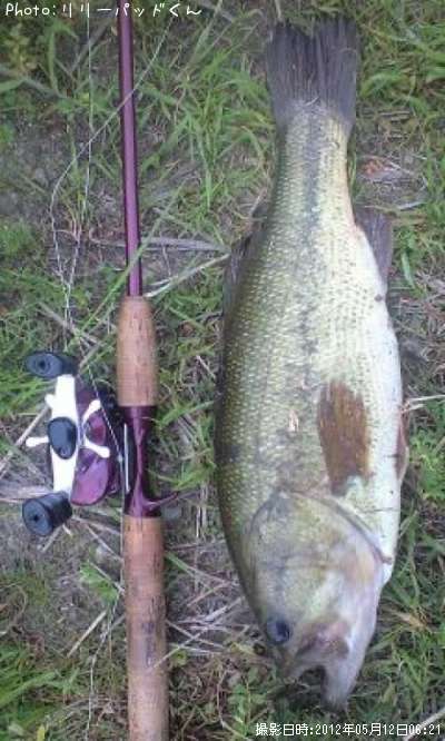 �£̣��ãˡ��£��ӣ�