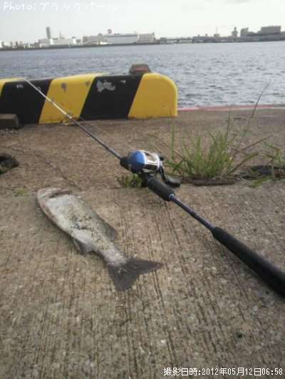 �����Х�