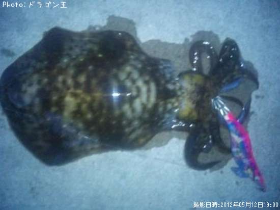 �����ꥤ��