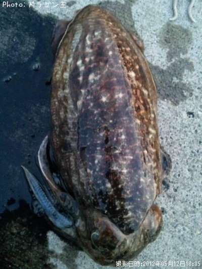 ���ߥ���