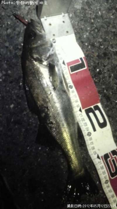 �����Х�