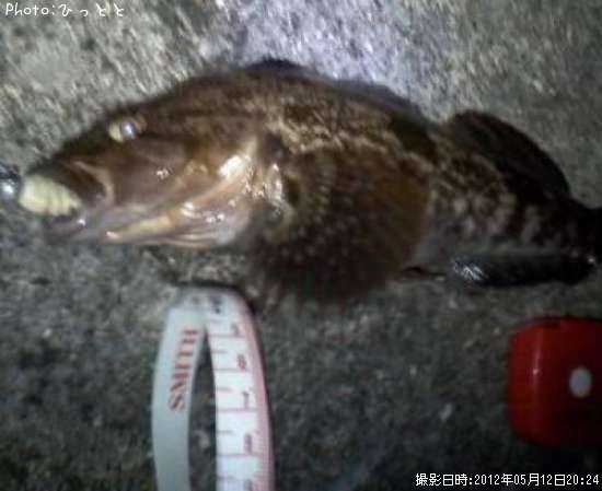 �����ʥ�