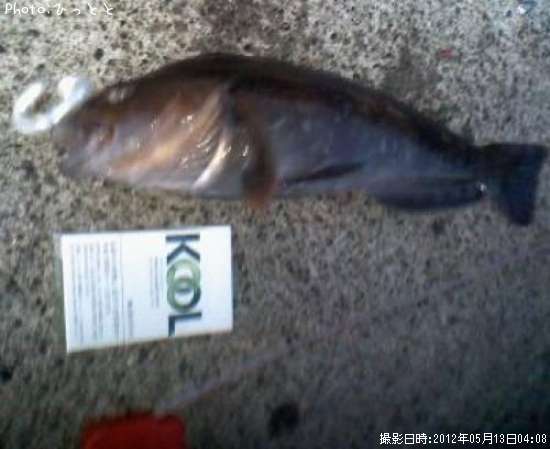 �����ʥ�