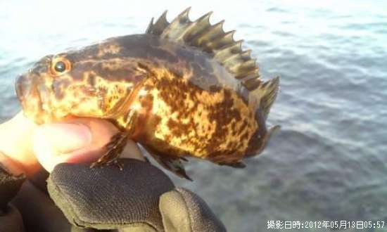 �����Υ���Х�