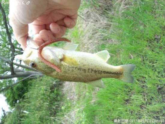 �顼���ޥ����Х�