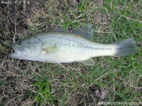 �֥�å��Х�