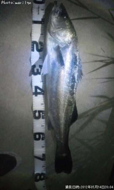 �����Х�