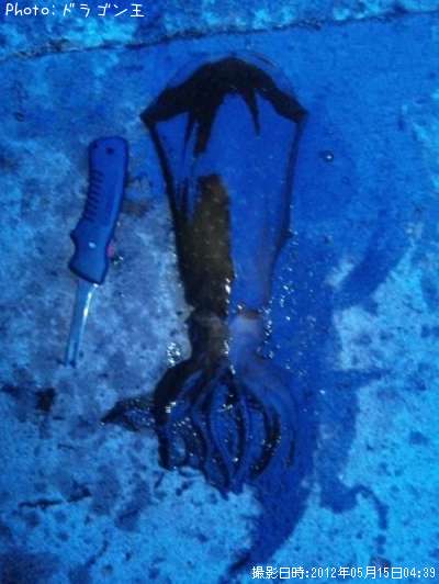 �����ꥤ��