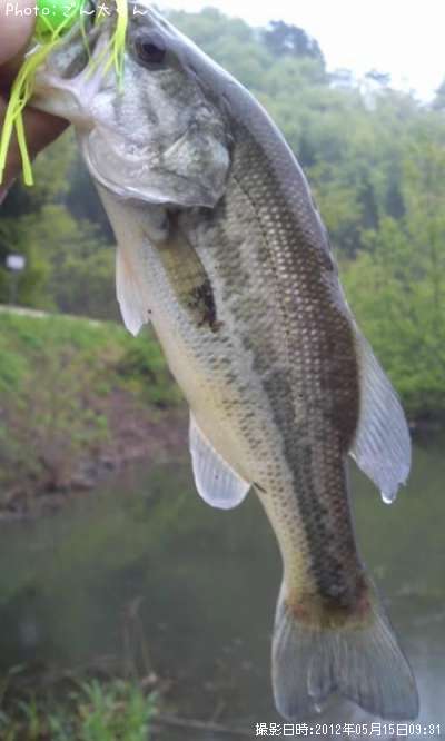 �֥�å��Х�