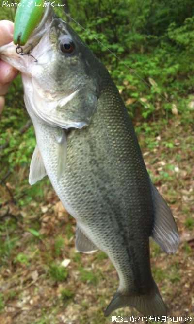 �֥�å��Х�