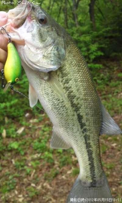 �֥�å��Х�