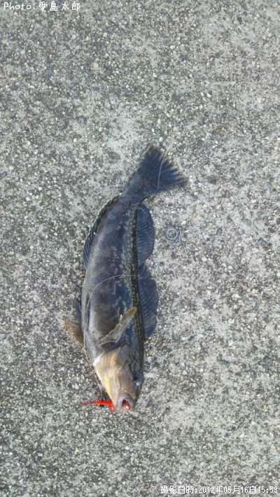 �����ʥ�