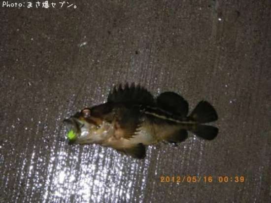 ���ޥ���