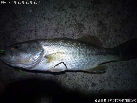 �֥�å��Х�