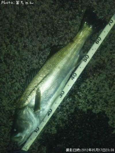 �����Х���