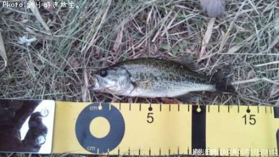 �֥�å��Х�