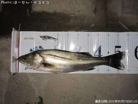 �����Х�