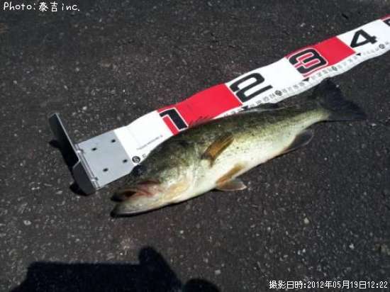 �֥�å��Х�