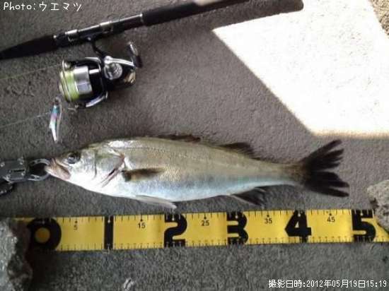 �����Х�