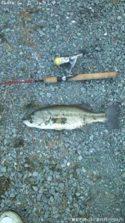 �֥�å��Х�