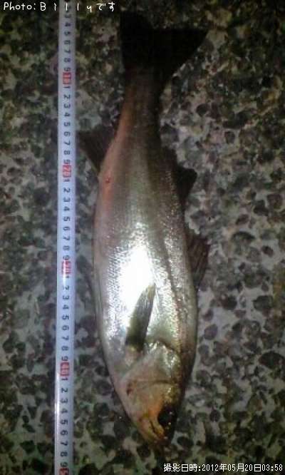 �����Х�