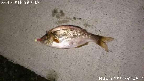 ���ߥ��ʥ�