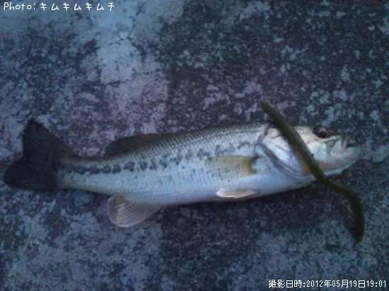 �֥�å��Х�