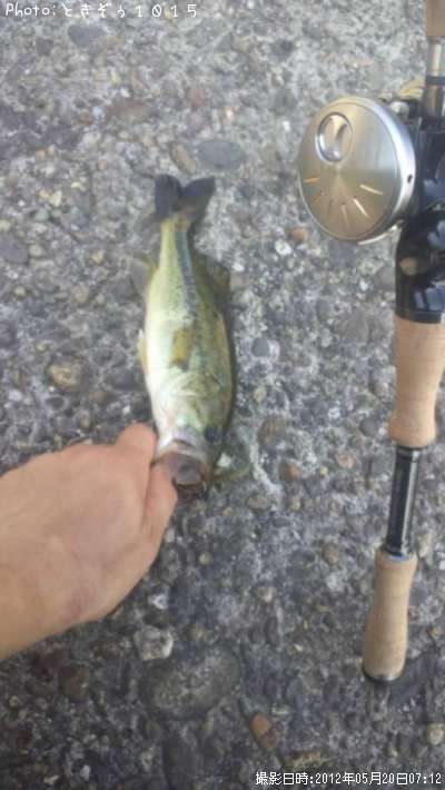 �֥�å��Х�