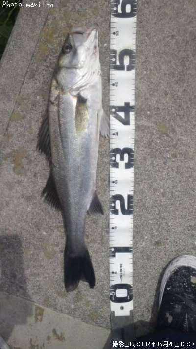 �����Х�