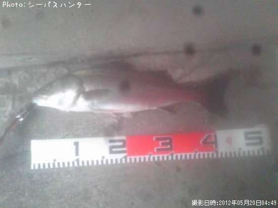 �����Х�