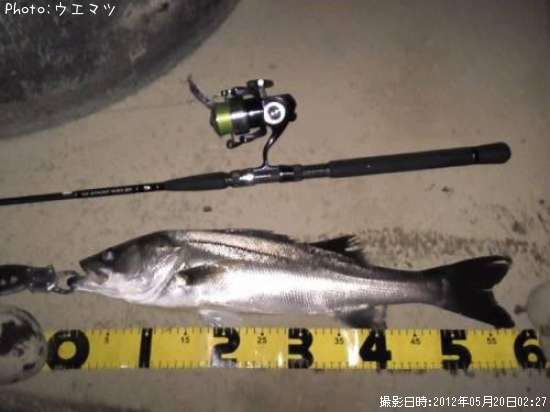 �����Х�