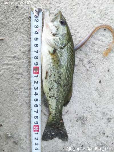 �֥�å��Х�