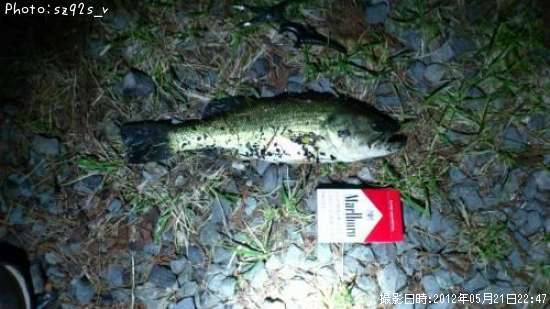 �֥�å��Х�