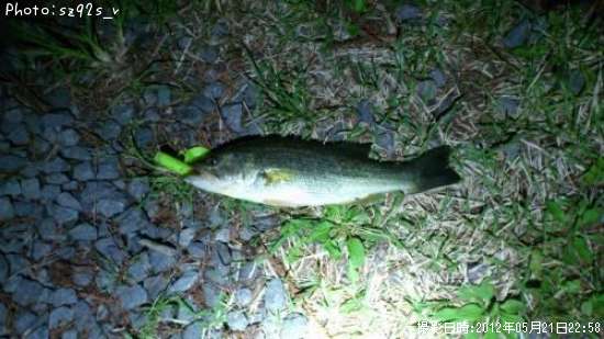 �֥�å��Х�