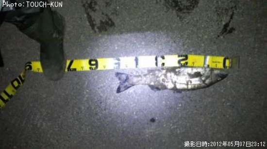 �����Х�