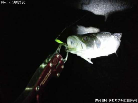 �����Х�