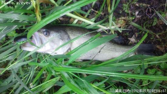 �֥�å��Х�