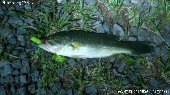 �֥�å��Х�