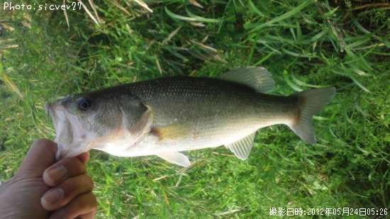 �֥�å��Х�