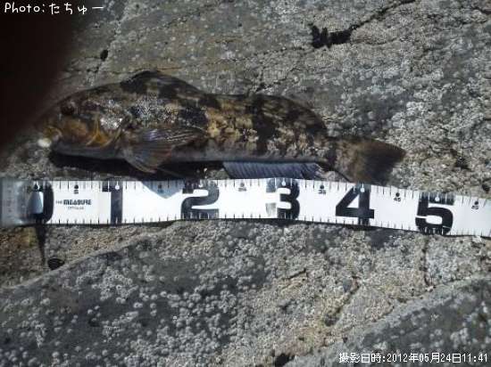 �����ʥ�