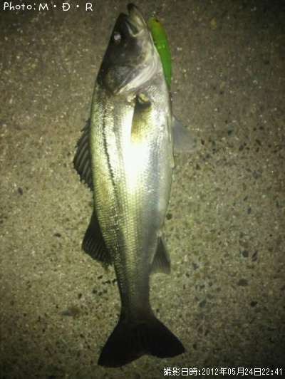 �����Х�