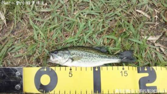 �֥�å��Х�