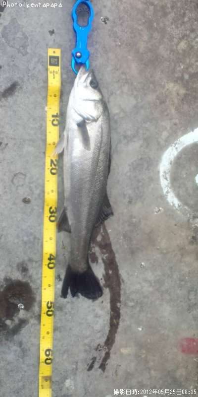 �����Х�