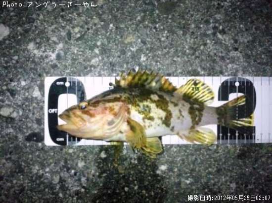 �����Υ���Х�