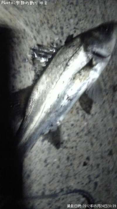 �����Х�