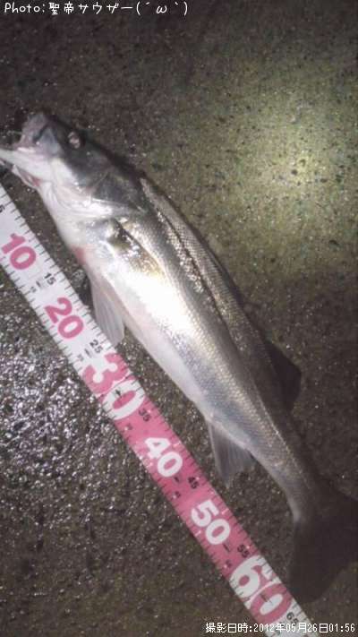 �����Х�