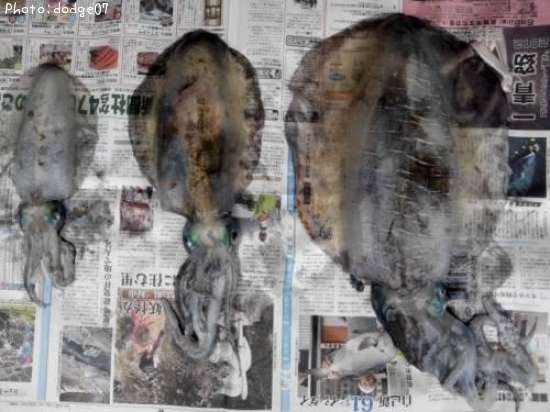 �����ꥤ��