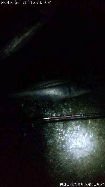 �����Х�