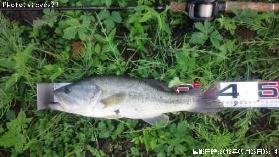 �֥�å��Х�